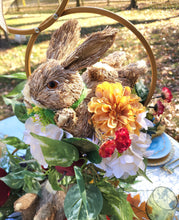 Load image into Gallery viewer, Whimsical Woodland Delight: Peter Rabbit Centerpiece