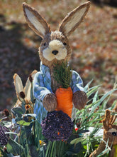 Load image into Gallery viewer, ✨360° of Whimsy & Wonder! ✨