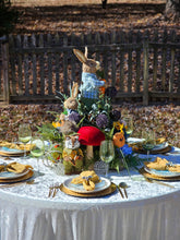 Load image into Gallery viewer, ✨360° of Whimsy & Wonder! ✨