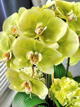 Load image into Gallery viewer, Eartha Mist