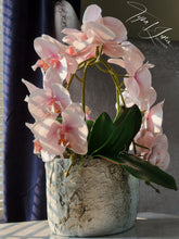 Load image into Gallery viewer, Ms. Lady
