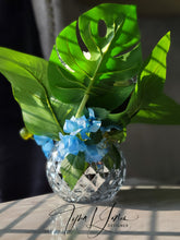 Load image into Gallery viewer, Sway