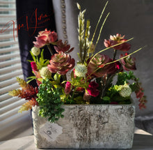 Load image into Gallery viewer, Seaira