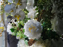 Load image into Gallery viewer, Eve of Madame