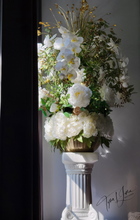 Load image into Gallery viewer, Eve of Madame