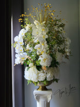 Load image into Gallery viewer, Eve of Madame