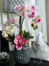 Load image into Gallery viewer, Essences