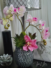 Load image into Gallery viewer, Essences