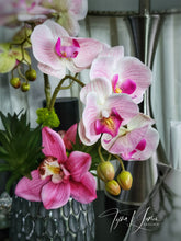 Load image into Gallery viewer, Essences