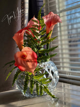 Load image into Gallery viewer, Gingerly