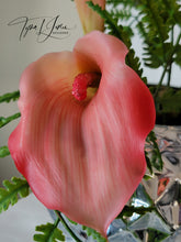 Load image into Gallery viewer, Gingerly