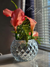 Load image into Gallery viewer, Gingerly