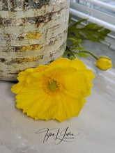 Load image into Gallery viewer, Lacey