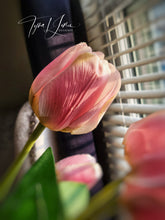 Load image into Gallery viewer, A New Day