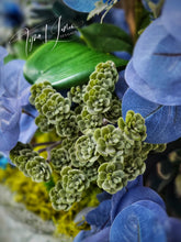 Load image into Gallery viewer, Paradise Jungle