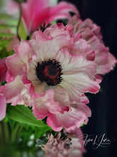 Load image into Gallery viewer, Dreamy