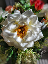 Load image into Gallery viewer, Gorgeous Virginia