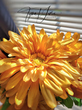 Load image into Gallery viewer, Sunrise Delight