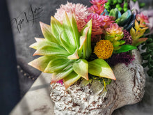 Load image into Gallery viewer, Seanna