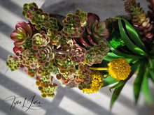 Load image into Gallery viewer, Woodland