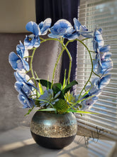 Load image into Gallery viewer, Blue Nile