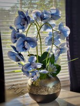 Load image into Gallery viewer, Blue Nile