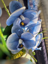 Load image into Gallery viewer, Blue Nile