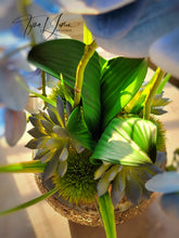 Load image into Gallery viewer, Blue Nile