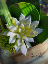 Load image into Gallery viewer, Blue Nile