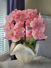 Load image into Gallery viewer, Serena