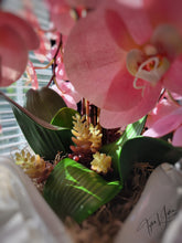 Load image into Gallery viewer, Serena