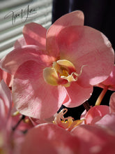 Load image into Gallery viewer, Serena