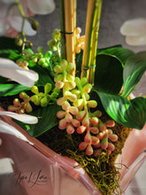 Load image into Gallery viewer, Day Dreams