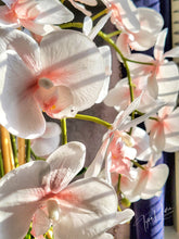 Load image into Gallery viewer, Day Dreams