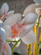 Load image into Gallery viewer, Day Dreams