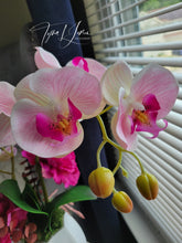 Load image into Gallery viewer, Essenly Raspberria