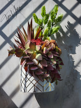 Load image into Gallery viewer, Desiree